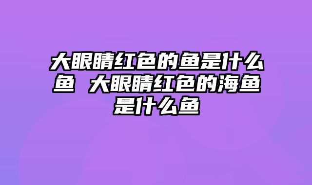 大眼睛红色的鱼是什么鱼 大眼睛红色的海鱼是什么鱼