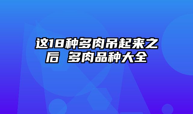 这18种多肉吊起来之后 多肉品种大全