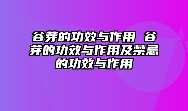 谷芽的功效与作用 谷芽的功效与作用及禁忌的功效与作用