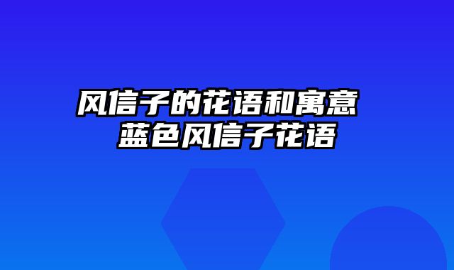 风信子的花语和寓意 蓝色风信子花语