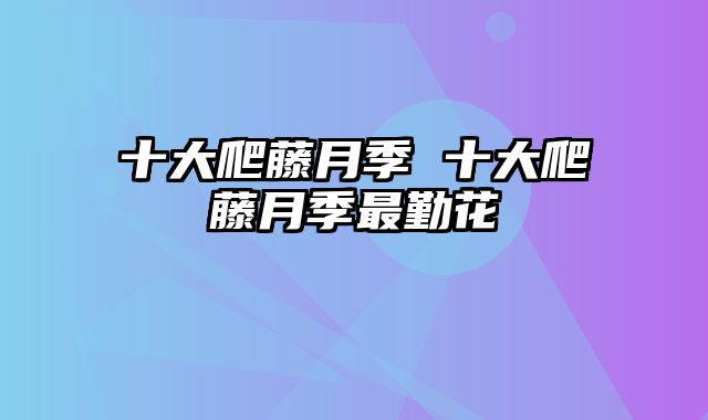 十大爬藤月季 十大爬藤月季最勤花