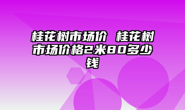 桂花树市场价 桂花树市场价格2米80多少钱