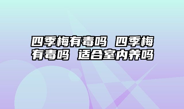 四季梅有毒吗 四季梅有毒吗 适合室内养吗