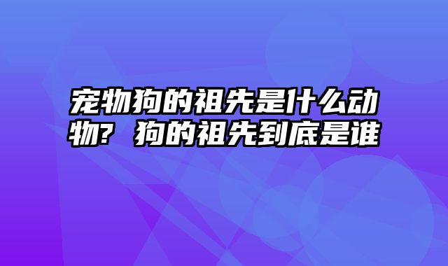 宠物狗的祖先是什么动物? 狗的祖先到底是谁