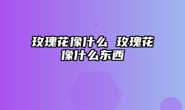 玫瑰花像什么 玫瑰花像什么东西