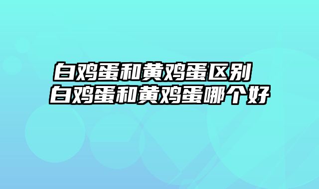 白鸡蛋和黄鸡蛋区别 白鸡蛋和黄鸡蛋哪个好