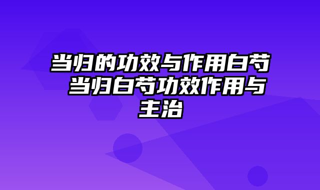 当归的功效与作用白芍 当归白芍功效作用与主治