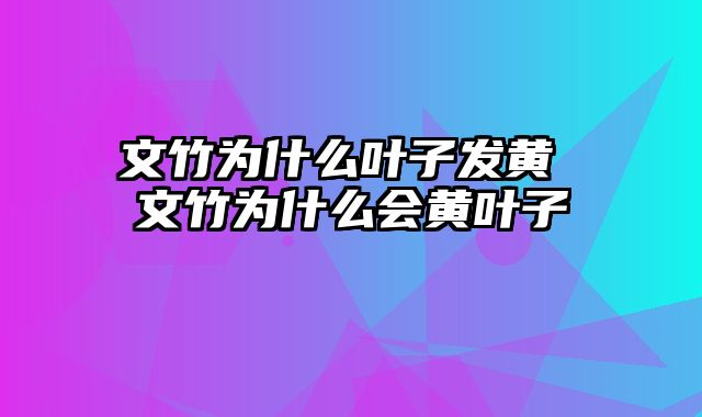 文竹为什么叶子发黄 文竹为什么会黄叶子