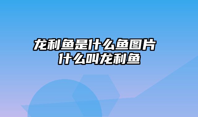 龙利鱼是什么鱼图片 什么叫龙利鱼