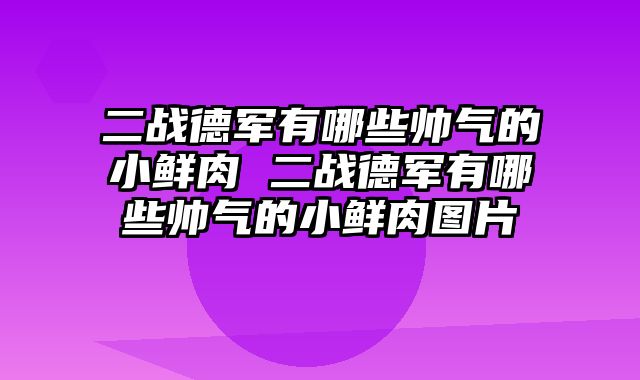 二战德军有哪些帅气的小鲜肉 二战德军有哪些帅气的小鲜肉图片