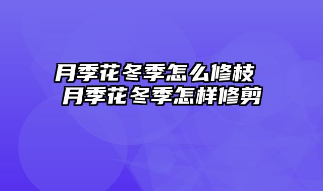 月季花冬季怎么修枝 月季花冬季怎样修剪