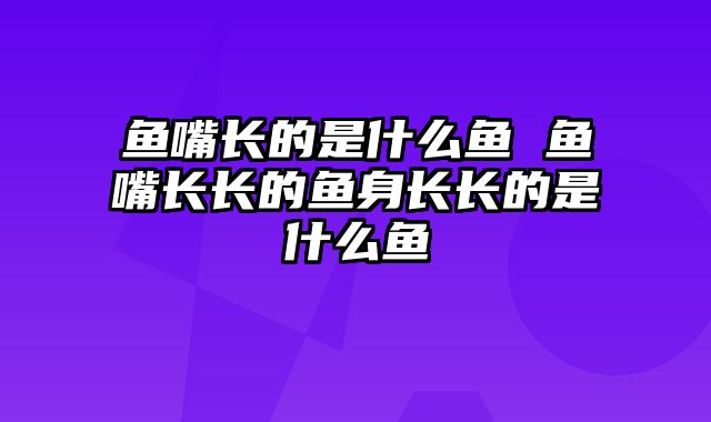 鱼嘴长的是什么鱼 鱼嘴长长的鱼身长长的是什么鱼