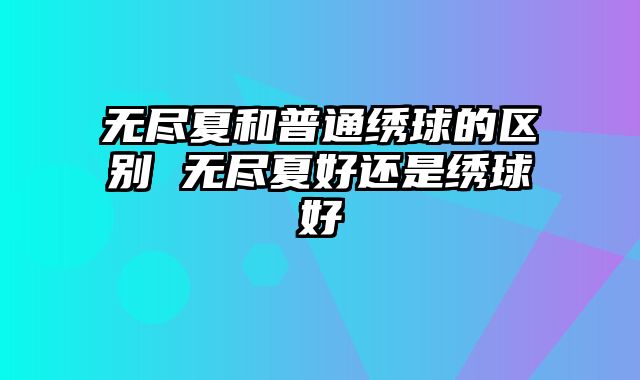 无尽夏和普通绣球的区别 无尽夏好还是绣球好