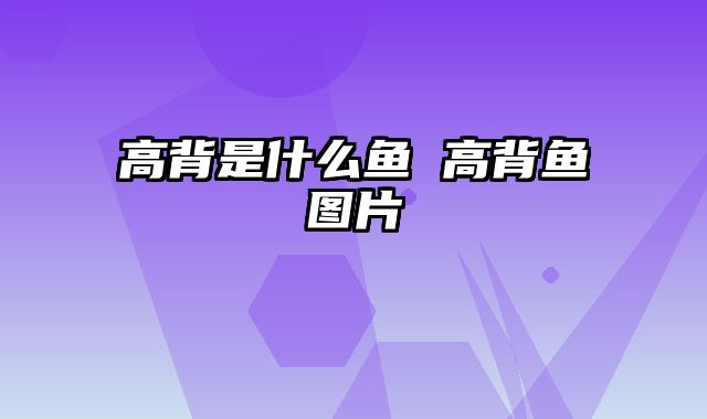高背是什么鱼 高背鱼图片