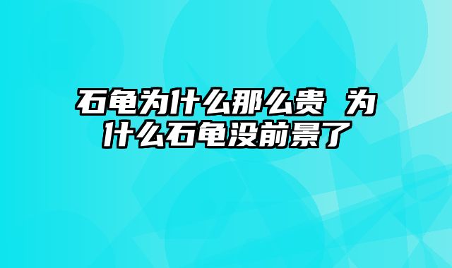 石龟为什么那么贵 为什么石龟没前景了