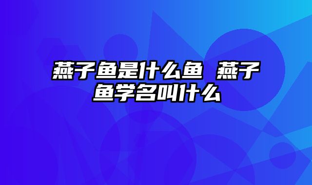 燕子鱼是什么鱼 燕子鱼学名叫什么