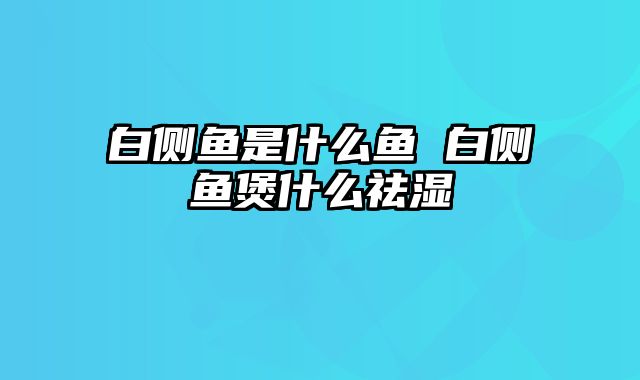 白侧鱼是什么鱼 白侧鱼煲什么祛湿