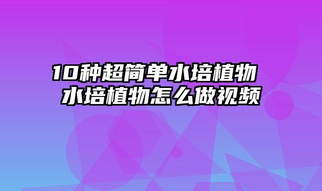 10种超简单水培植物 水培植物怎么做视频