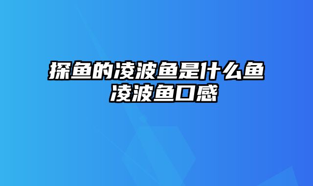 探鱼的凌波鱼是什么鱼 凌波鱼口感