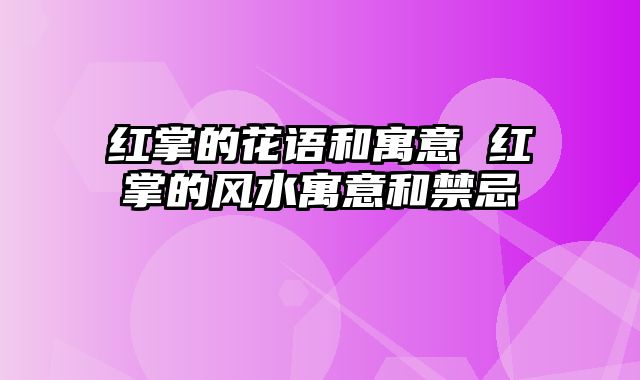 红掌的花语和寓意 红掌的风水寓意和禁忌