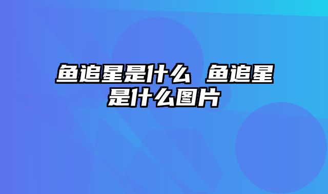 鱼追星是什么 鱼追星是什么图片