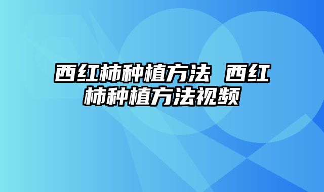 西红柿种植方法 西红柿种植方法视频