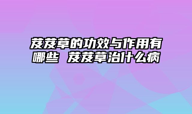 芨芨草的功效与作用有哪些 芨芨草治什么病