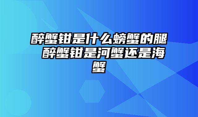 醉蟹钳是什么螃蟹的腿 醉蟹钳是河蟹还是海蟹