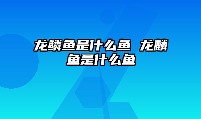 龙鳞鱼是什么鱼 龙麟鱼是什么鱼