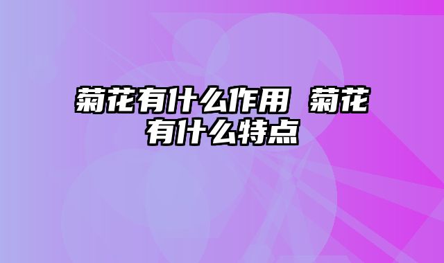菊花有什么作用 菊花有什么特点