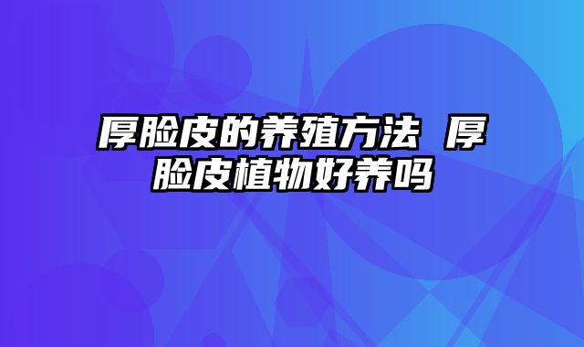 厚脸皮的养殖方法 厚脸皮植物好养吗