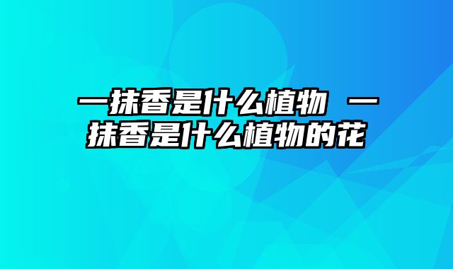 一抹香是什么植物 一抹香是什么植物的花