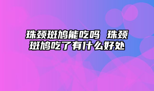 珠颈斑鸠能吃吗 珠颈斑鸠吃了有什么好处