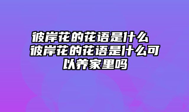 彼岸花的花语是什么 彼岸花的花语是什么可以养家里吗