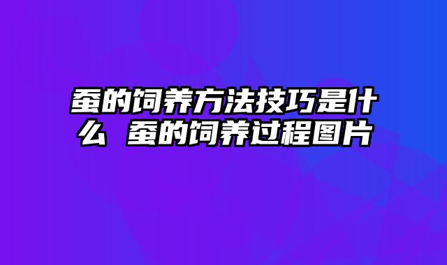 蚕的饲养方法技巧是什么 蚕的饲养过程图片