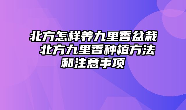 北方怎样养九里香盆栽 北方九里香种植方法和注意事项
