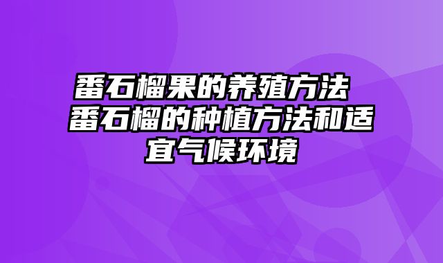 番石榴果的养殖方法 番石榴的种植方法和适宜气候环境