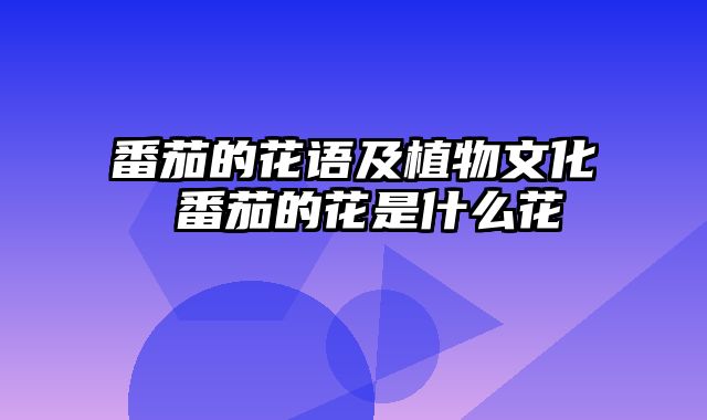 番茄的花语及植物文化 番茄的花是什么花