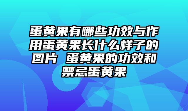 蛋黄果有哪些功效与作用蛋黄果长什么样子的图片 蛋黄果的功效和禁忌蛋黄果