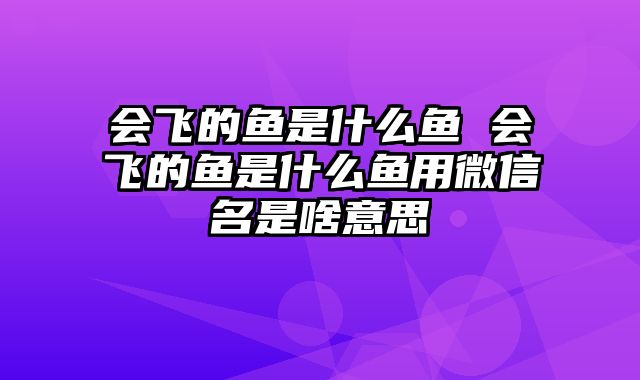 会飞的鱼是什么鱼 会飞的鱼是什么鱼用微信名是啥意思