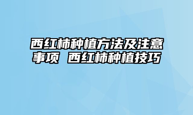 西红柿种植方法及注意事项 西红柿种植技巧