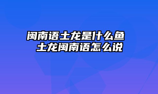 闽南语土龙是什么鱼 土龙闽南语怎么说