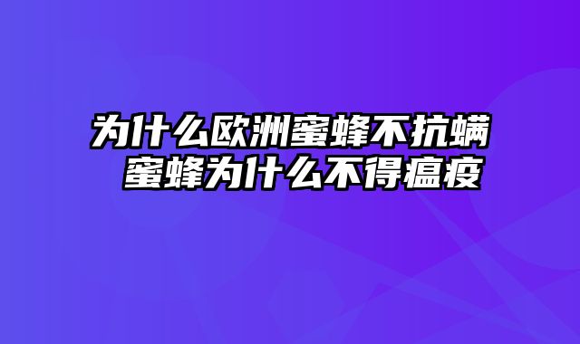 为什么欧洲蜜蜂不抗螨 蜜蜂为什么不得瘟疫