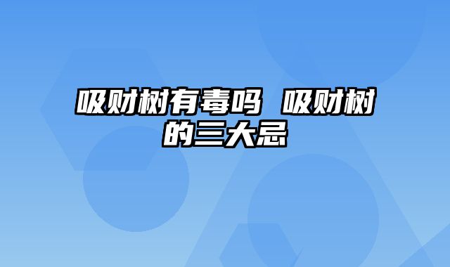 吸财树有毒吗 吸财树的三大忌