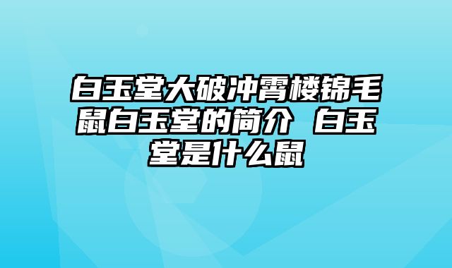 白玉堂大破冲霄楼锦毛鼠白玉堂的简介 白玉堂是什么鼠