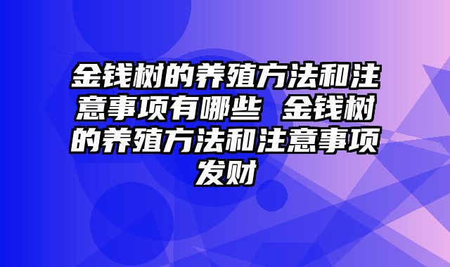 金钱树的养殖方法和注意事项有哪些 金钱树的养殖方法和注意事项发财