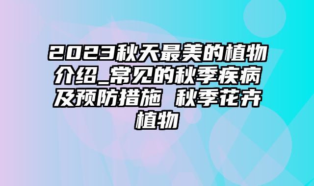 2023秋天最美的植物介绍_常见的秋季疾病及预防措施 秋季花卉植物