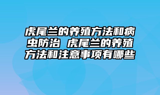 虎尾兰的养殖方法和病虫防治 虎尾兰的养殖方法和注意事项有哪些