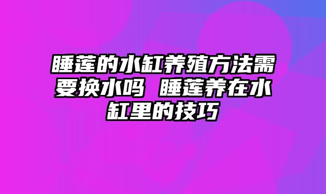 睡莲的水缸养殖方法需要换水吗 睡莲养在水缸里的技巧