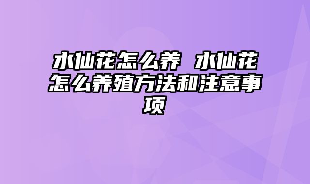 水仙花怎么养 水仙花怎么养殖方法和注意事项